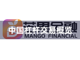 中国杠杆交易概览